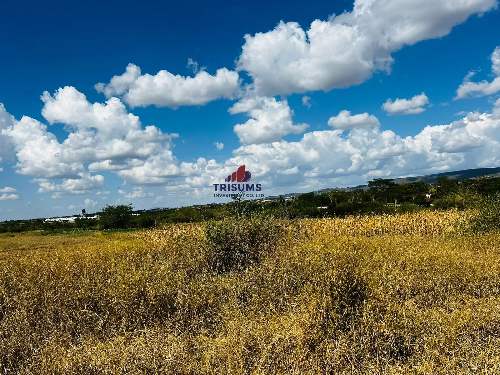 Prime 28-Acre Land for Sale in Athi River